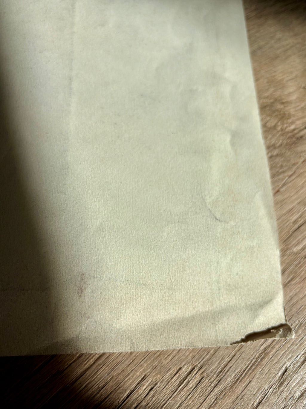 Antique French Charcoal Roses in a Vase Still Life Drawing, Signed