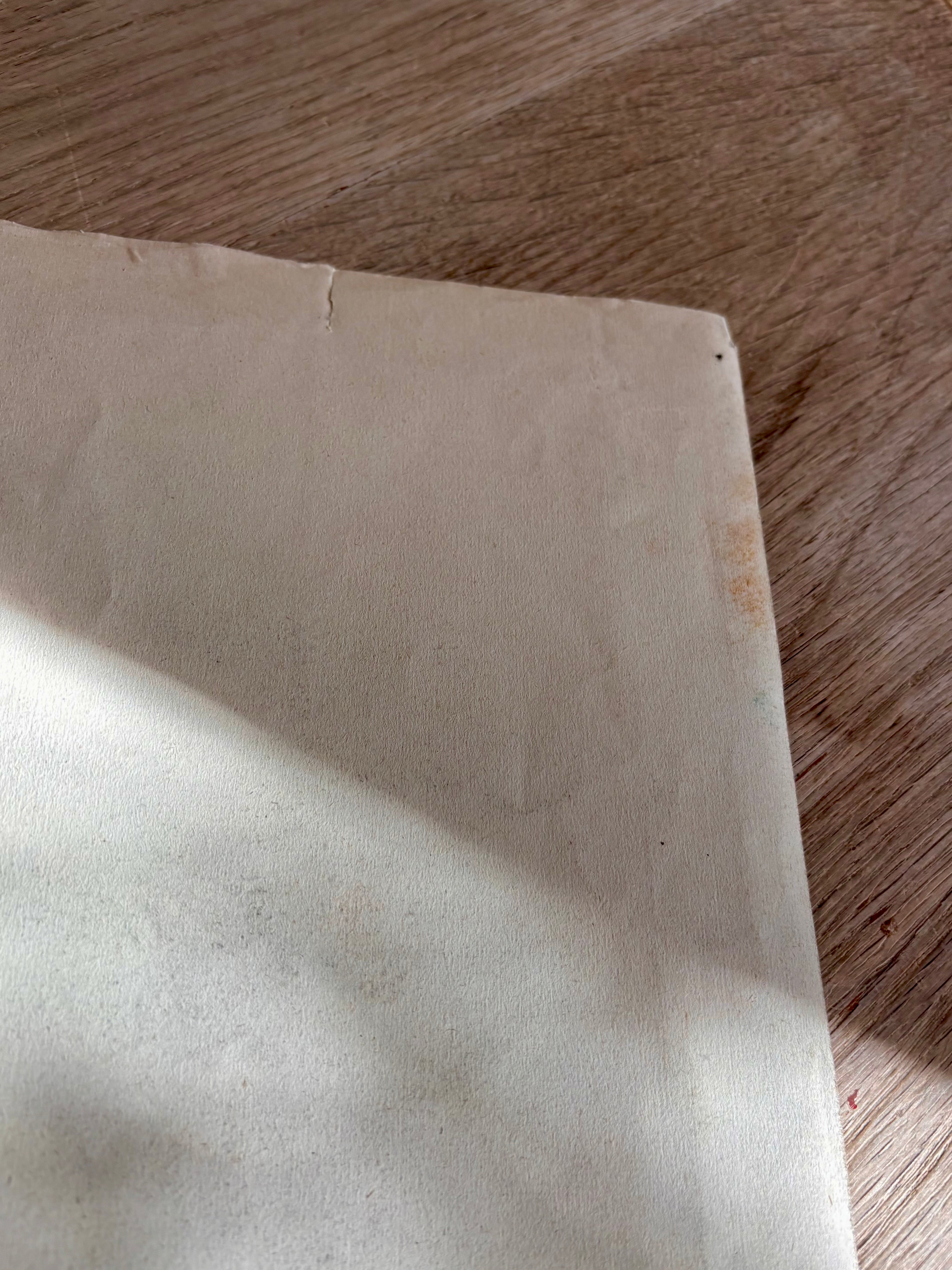 Antique French Charcoal Roses in a Vase Still Life Drawing, Signed