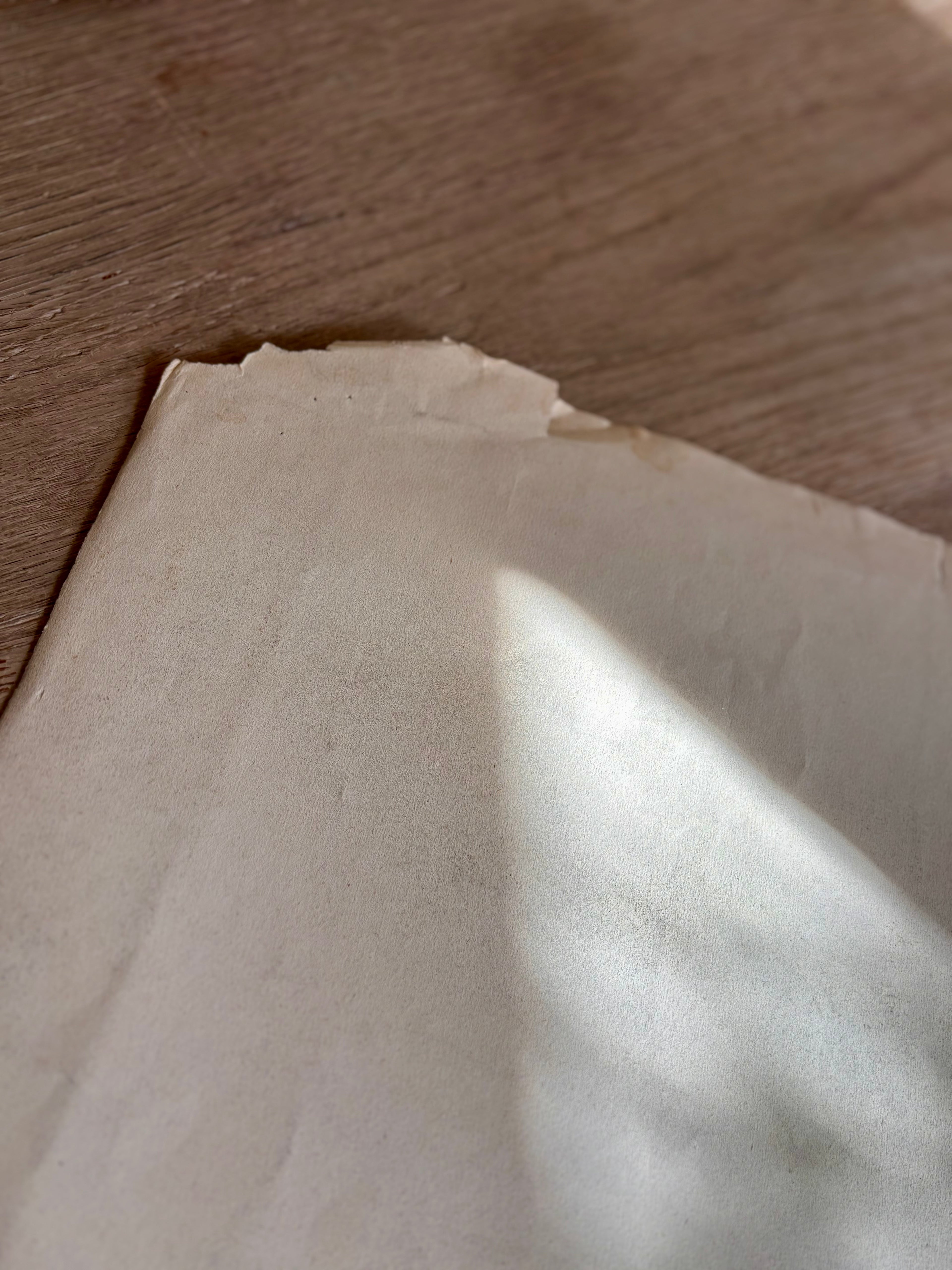 Antique French Charcoal Roses in a Vase Still Life Drawing, Signed