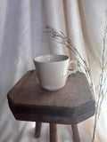 Antique Nimy & Boch Ironstone Mug