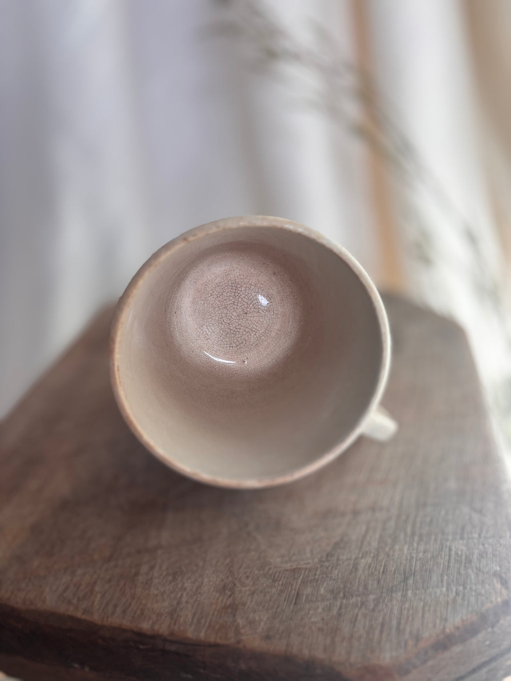Antique Nimy & Boch Ironstone Mug