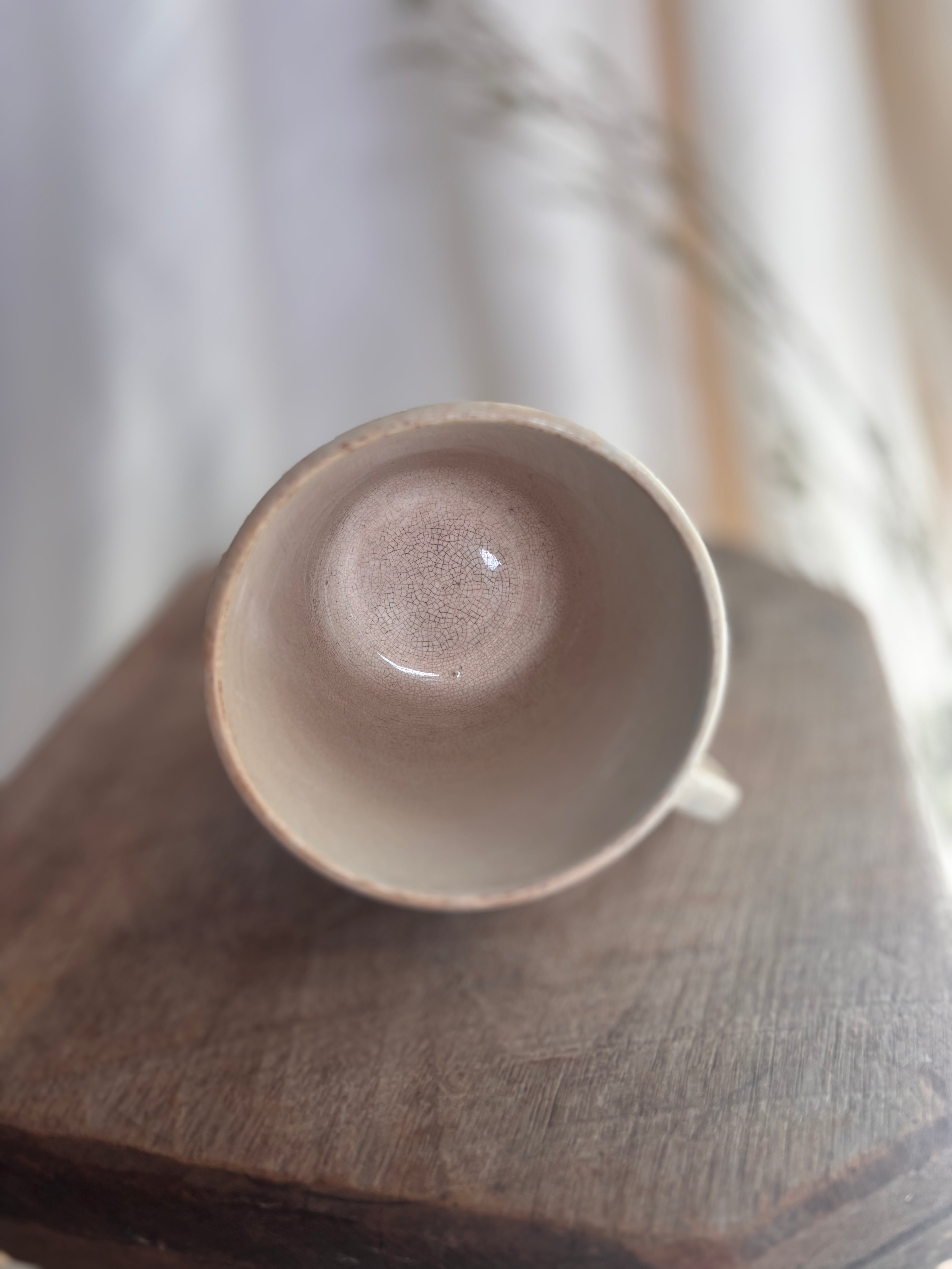 Antique Nimy & Boch Ironstone Mug