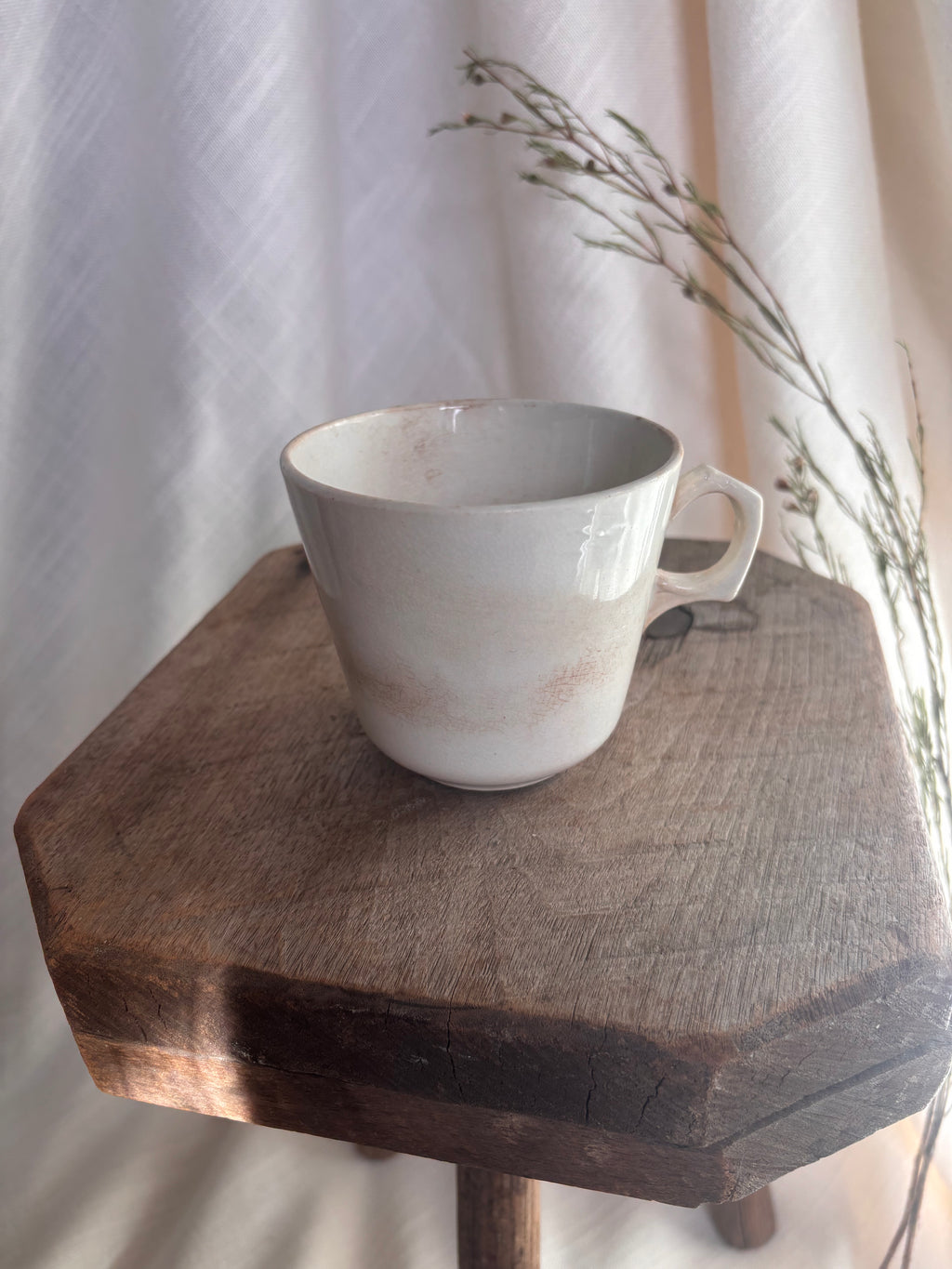 Antique Nimy & Boch Ironstone Mug