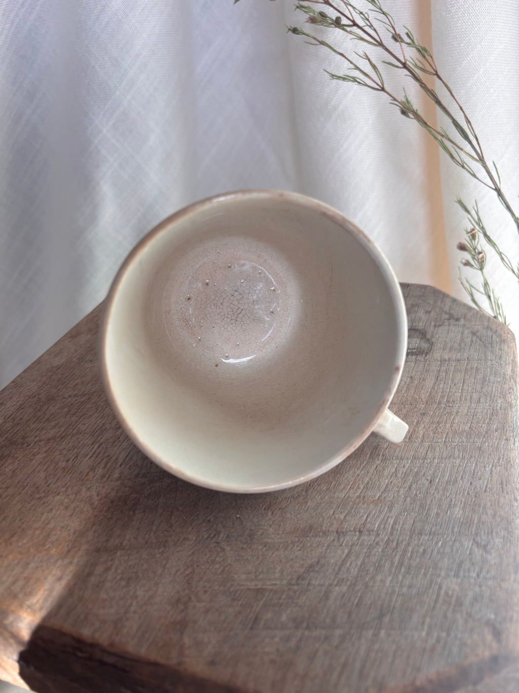 Antique Nimy & Boch Ironstone Mug