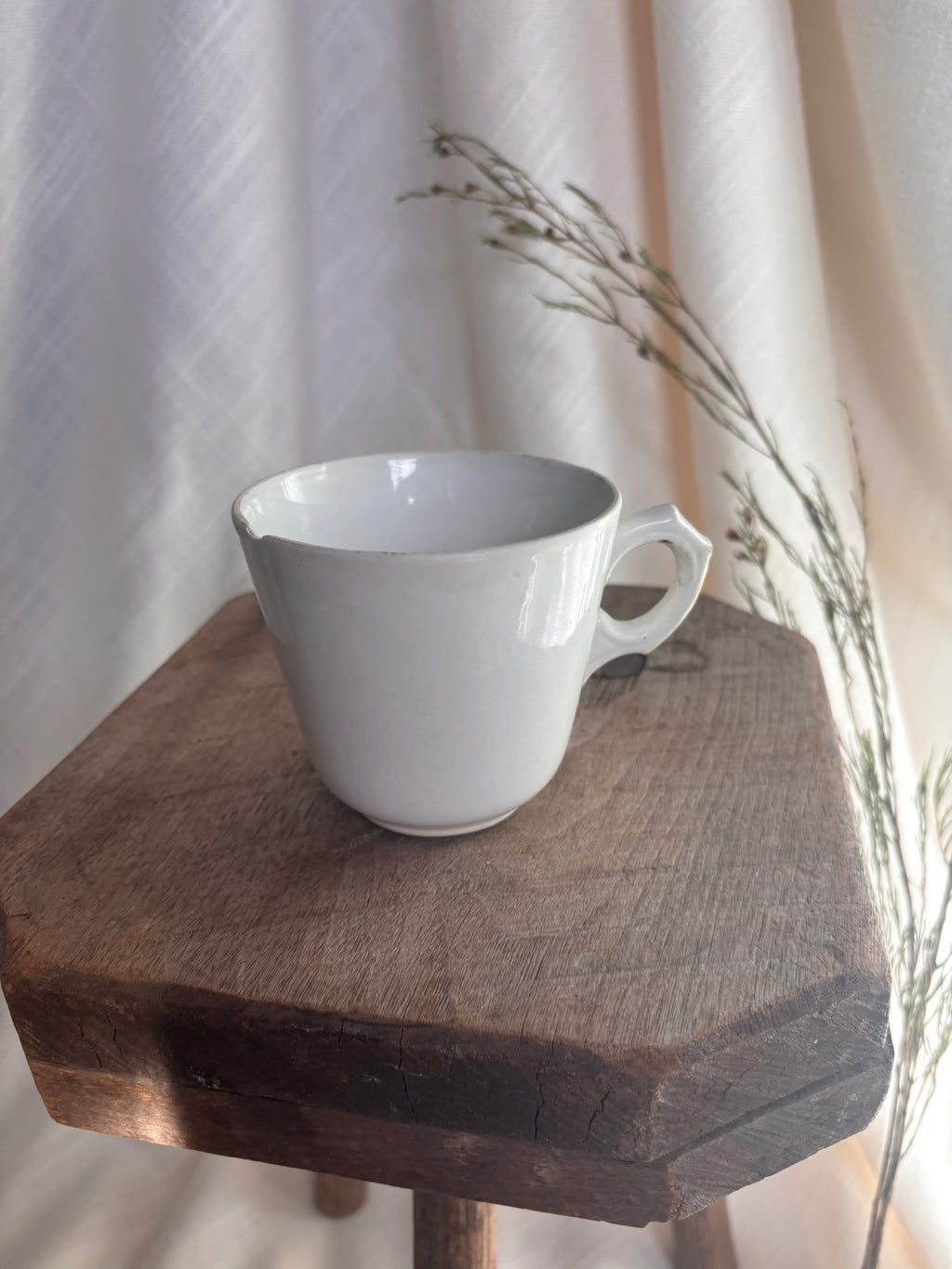 Antique Nimy & Boch Ironstone Mug
