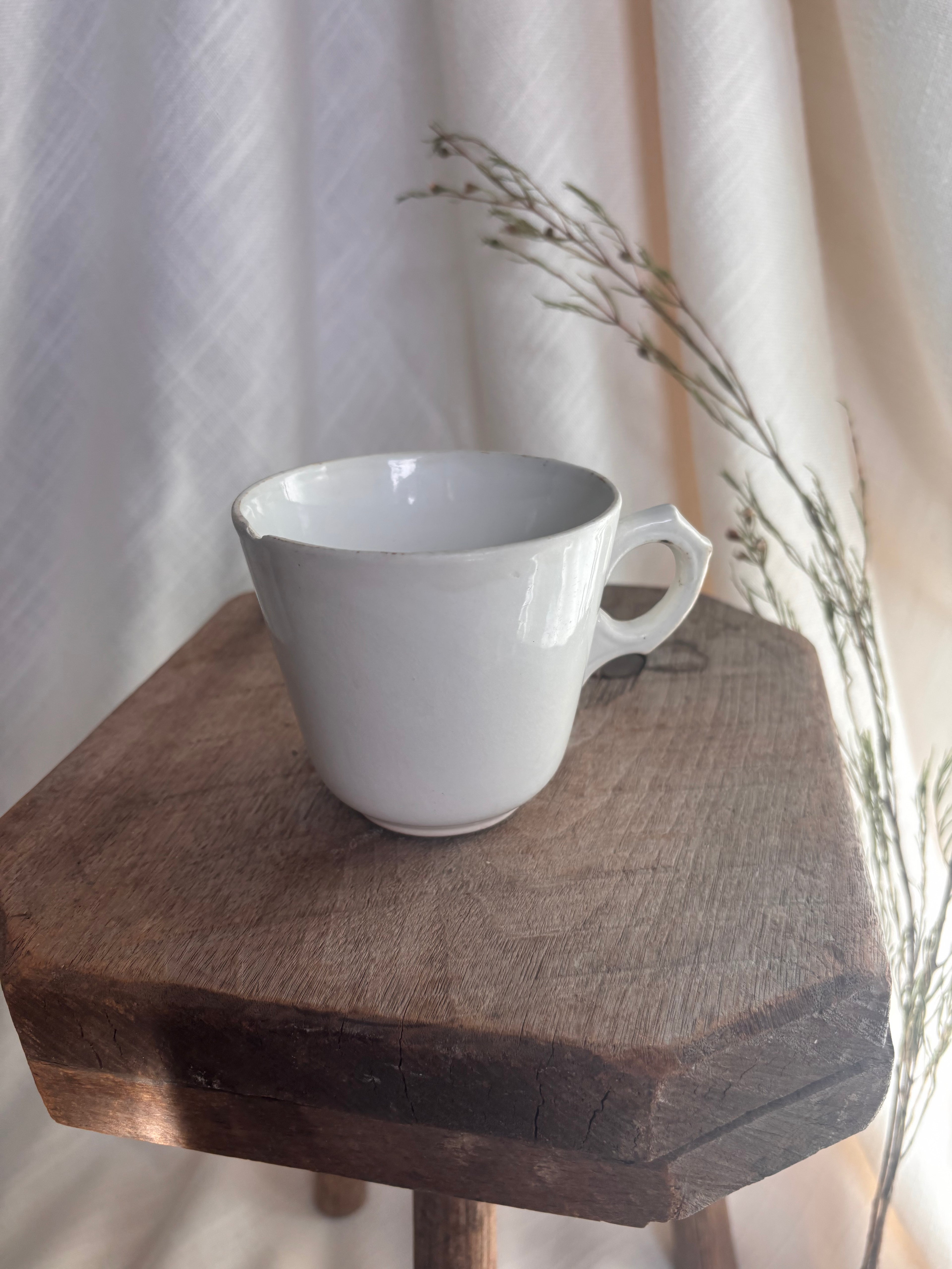 Antique Nimy & Boch Ironstone Mug