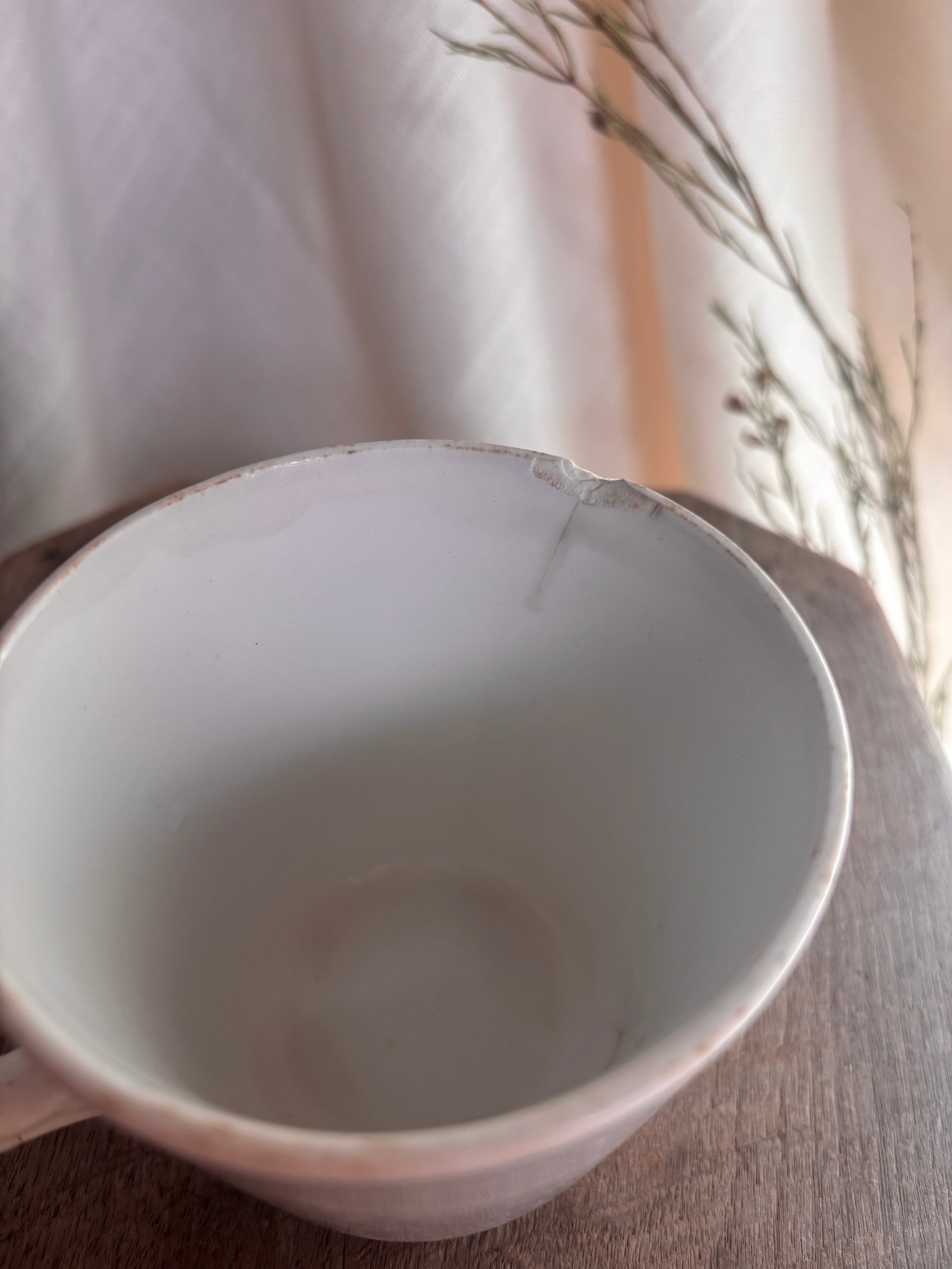 Antique Nimy & Boch Ironstone Mug