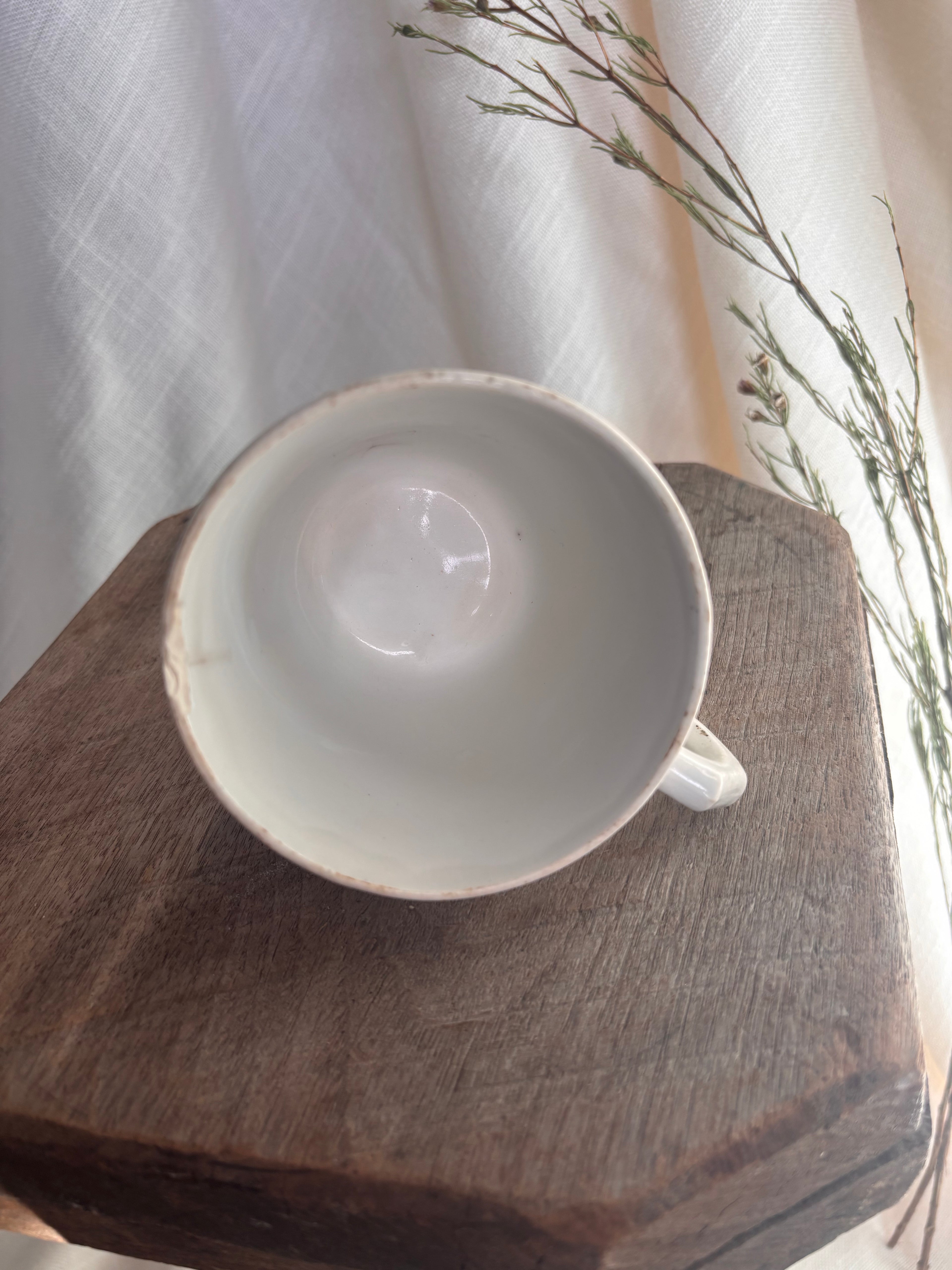 Antique Nimy & Boch Ironstone Mug