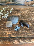 Moody Shell Bundle