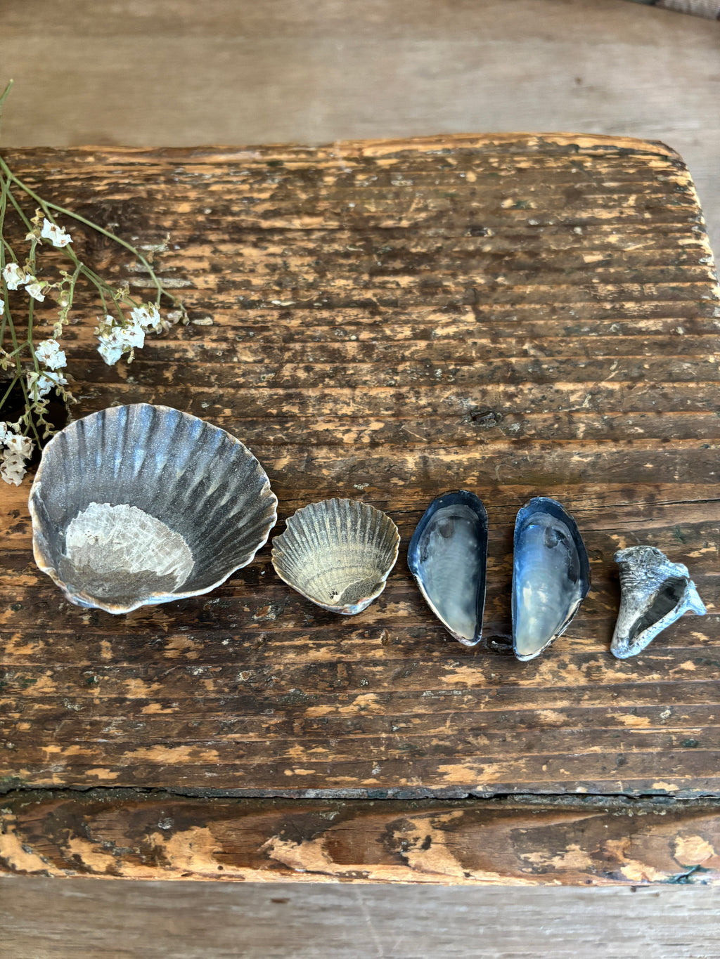Moody Shell Bundle