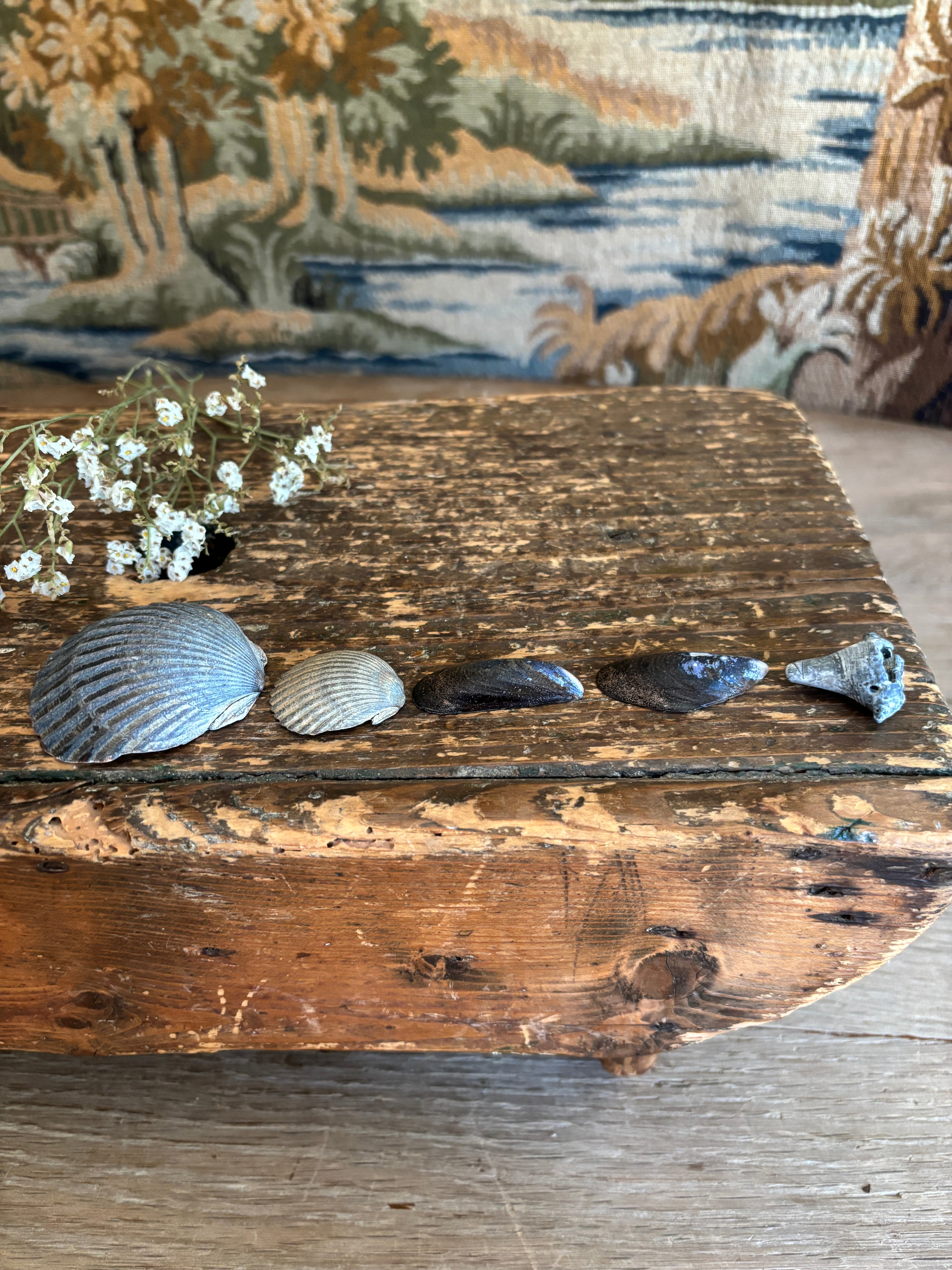 Moody Shell Bundle