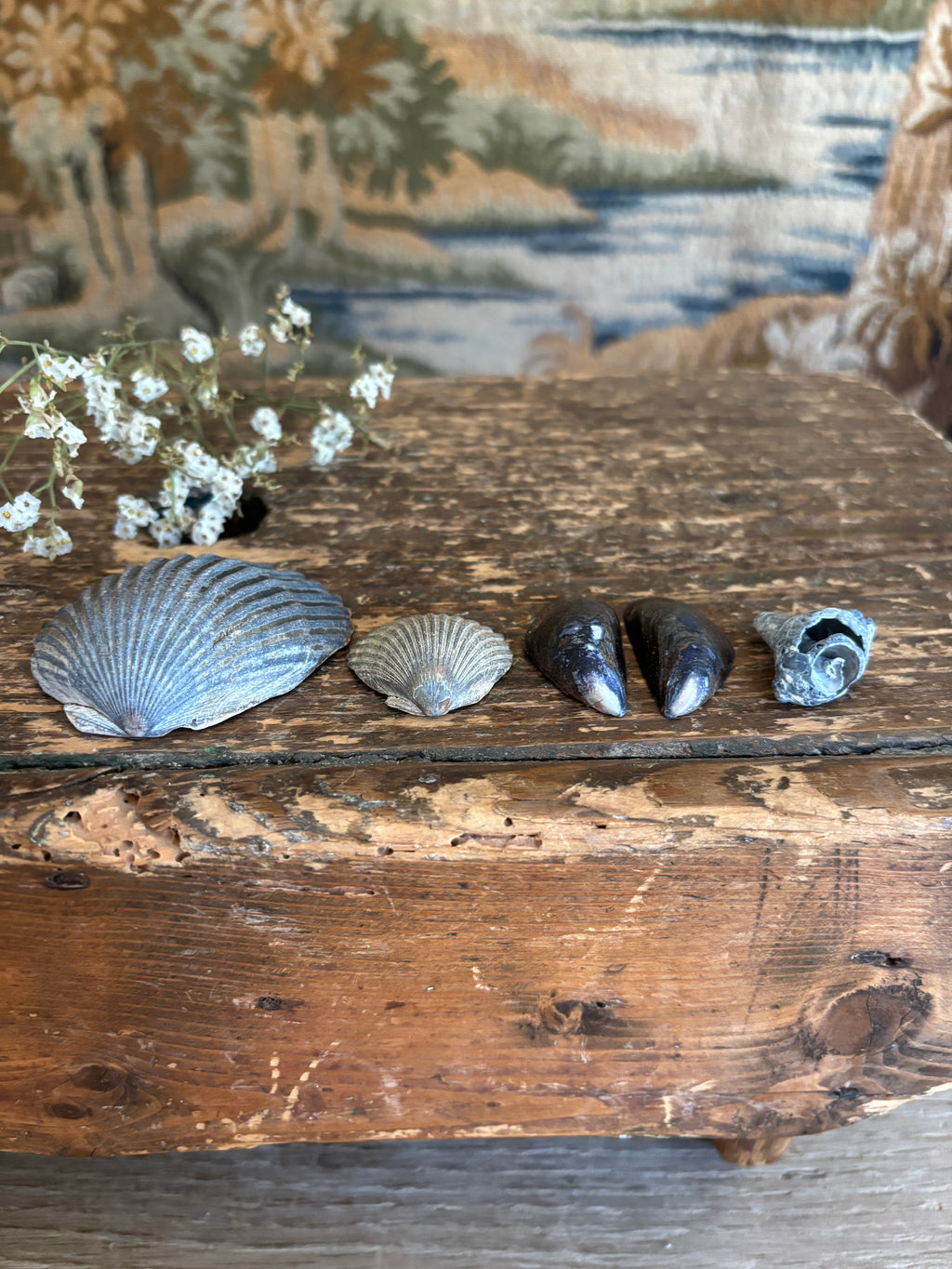 Moody Shell Bundle