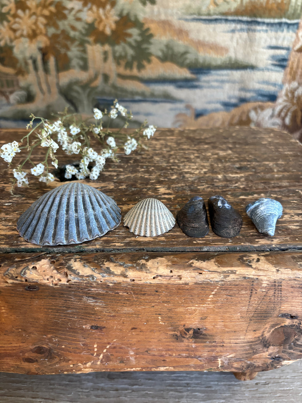 Moody Shell Bundle
