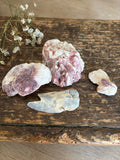 Odds & Ends Shell Bundle