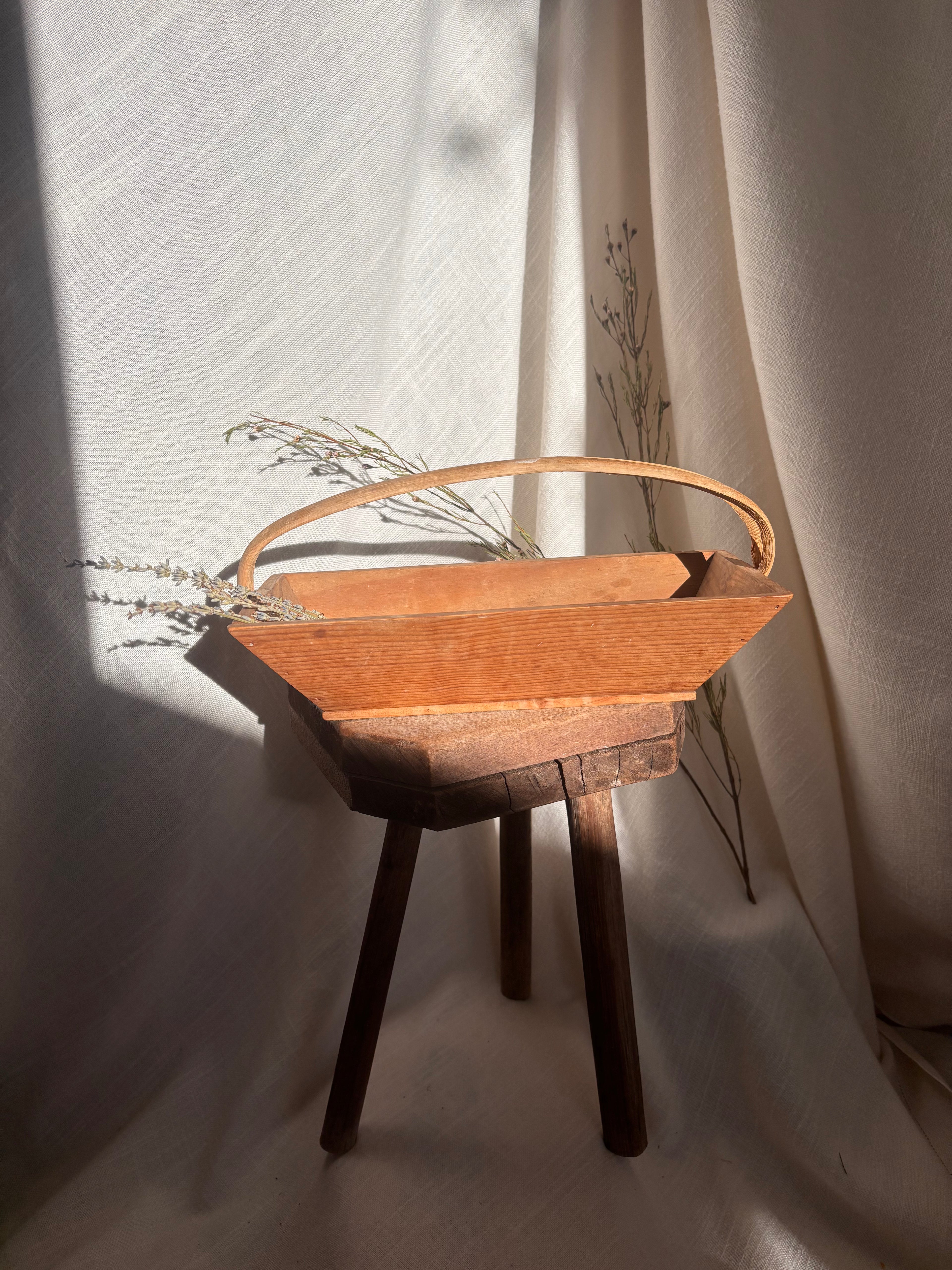 Vintage French Wooden Trug Basket with Split Bentwood Handle