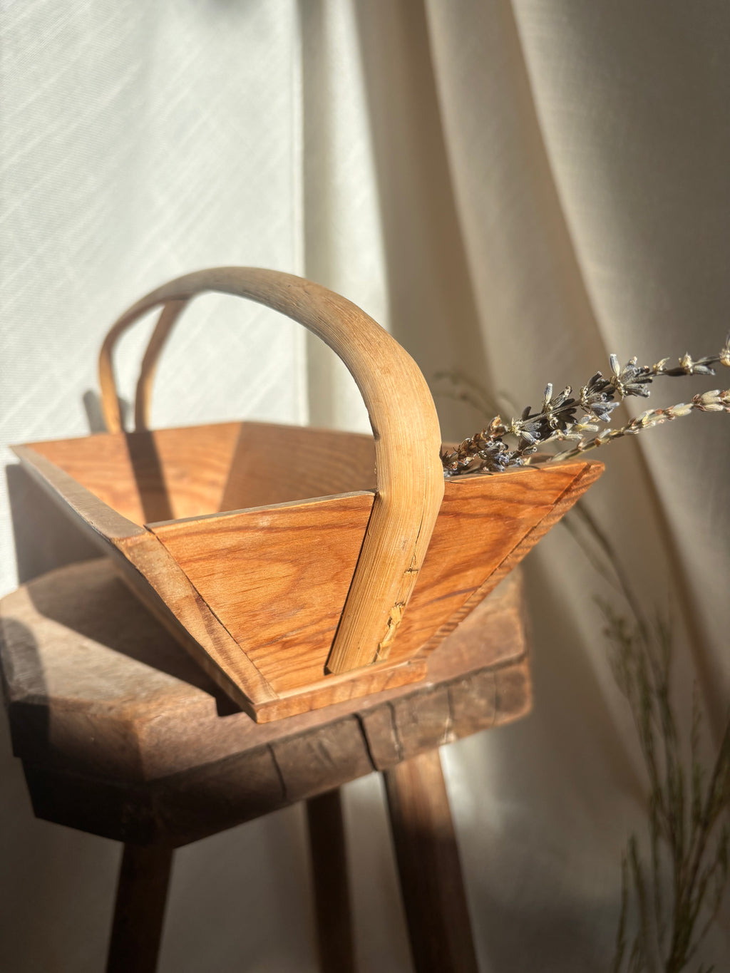 Vintage French Wooden Trug Basket with Split Bentwood Handle