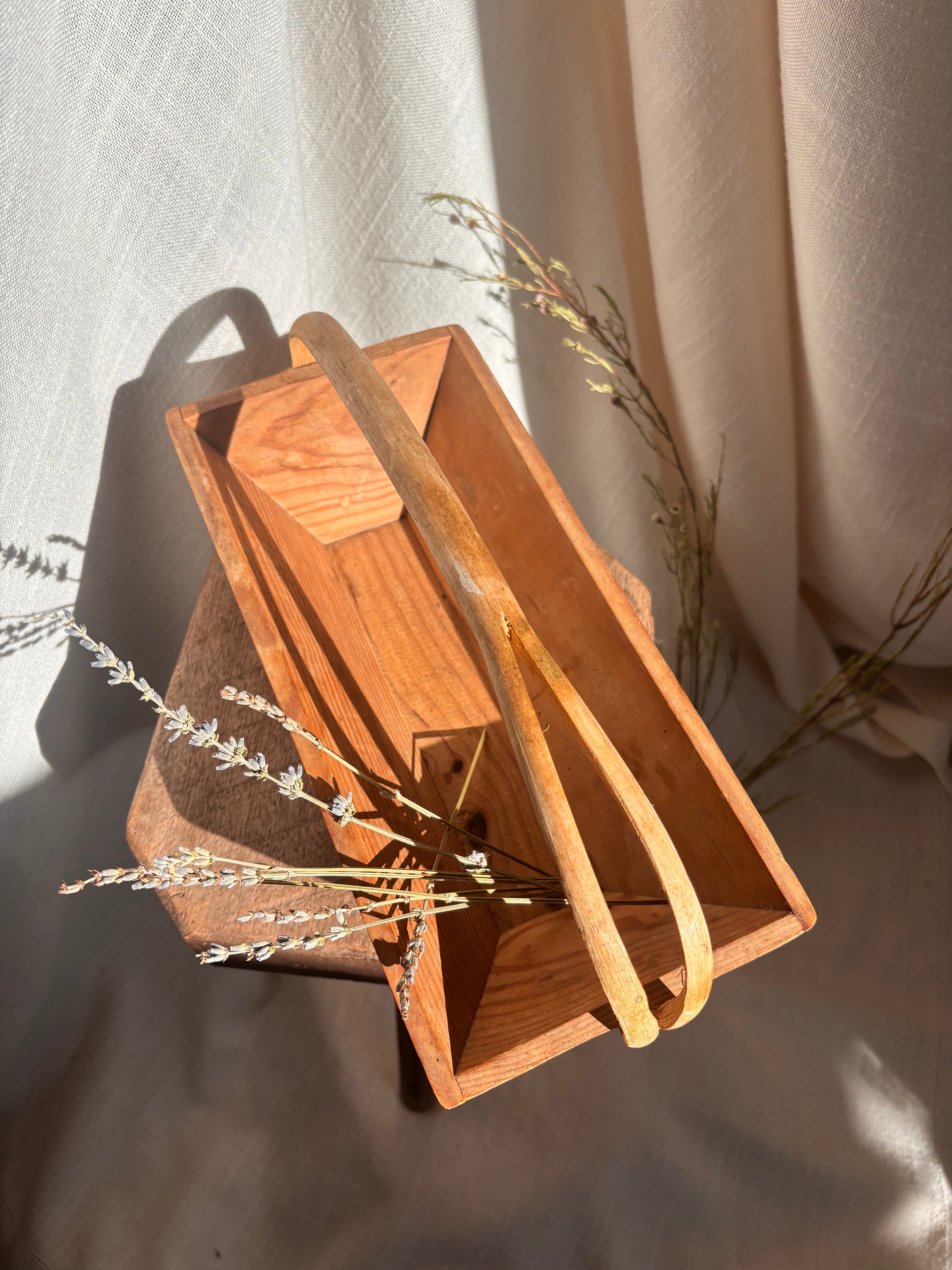 Vintage French Wooden Trug Basket with Split Bentwood Handle