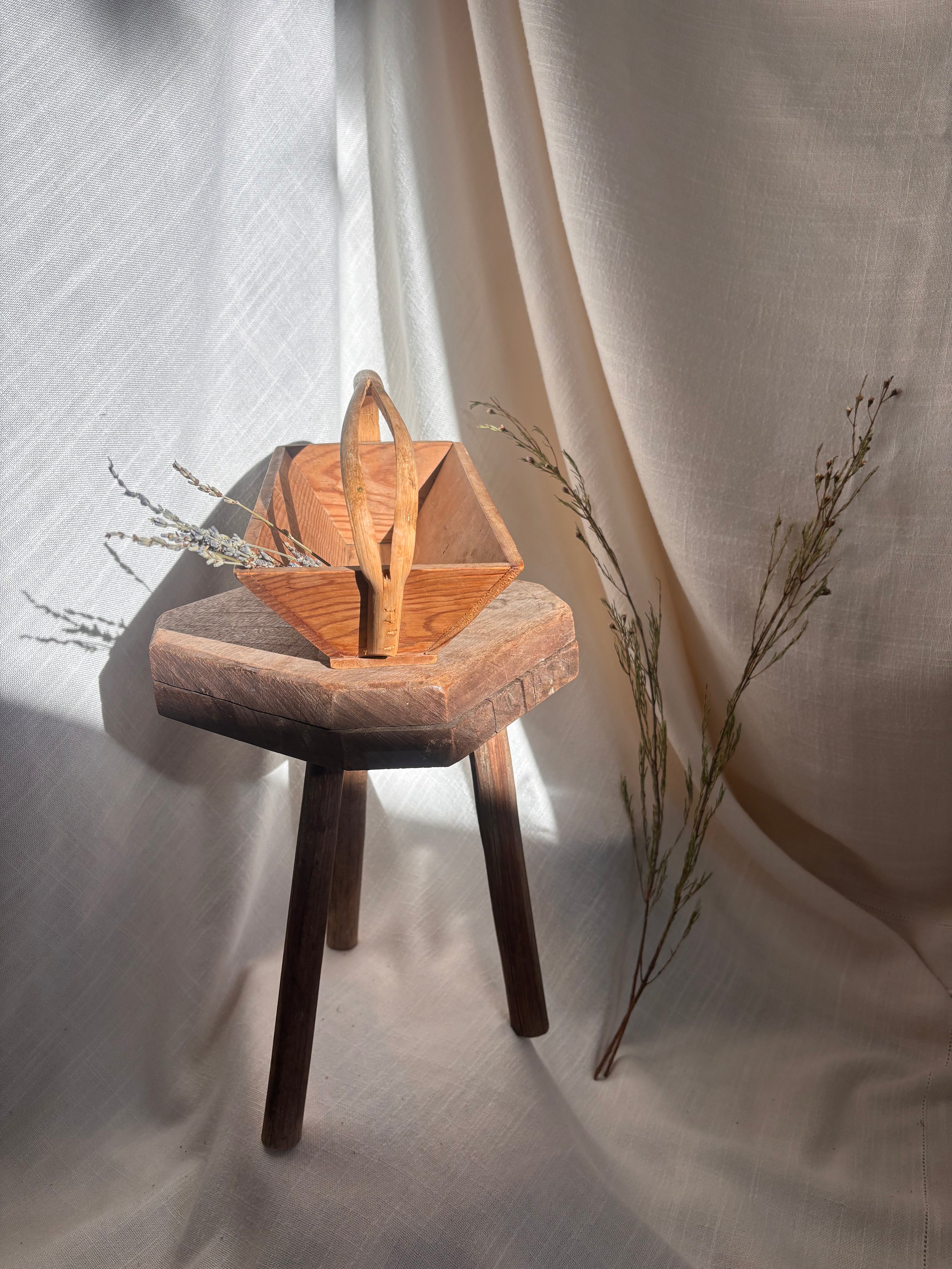 Vintage French Wooden Trug Basket with Split Bentwood Handle