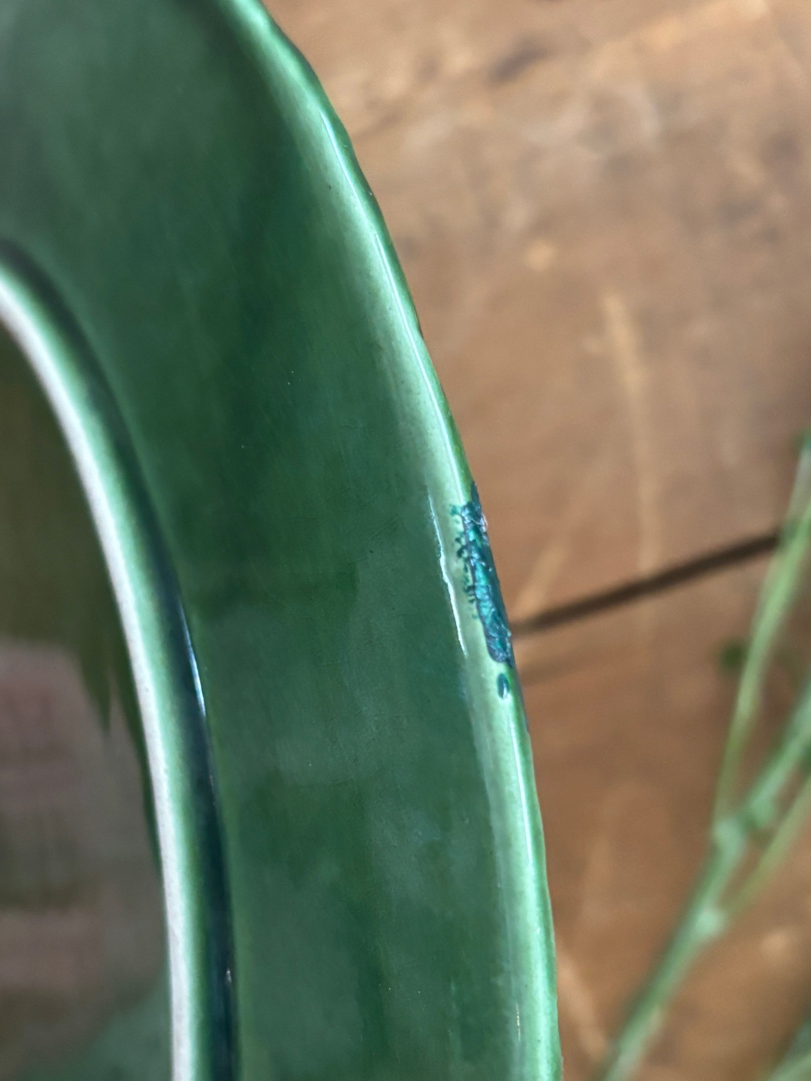 Vintage Majolica Cabbage Leaf Plate