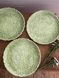 Vintage Italian Majolica Cabbage Plates
