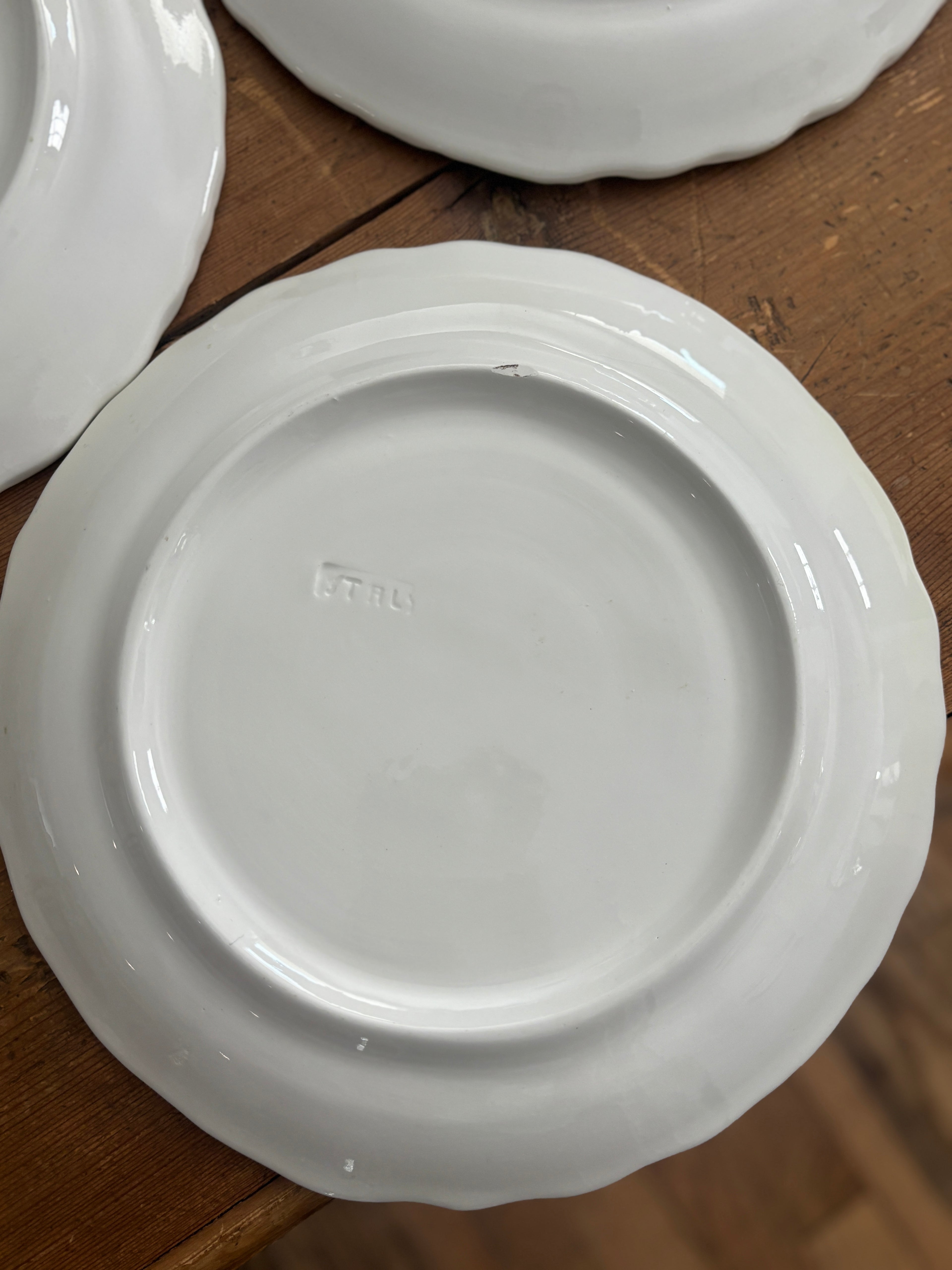 Vintage Italian Majolica Cabbage Plates