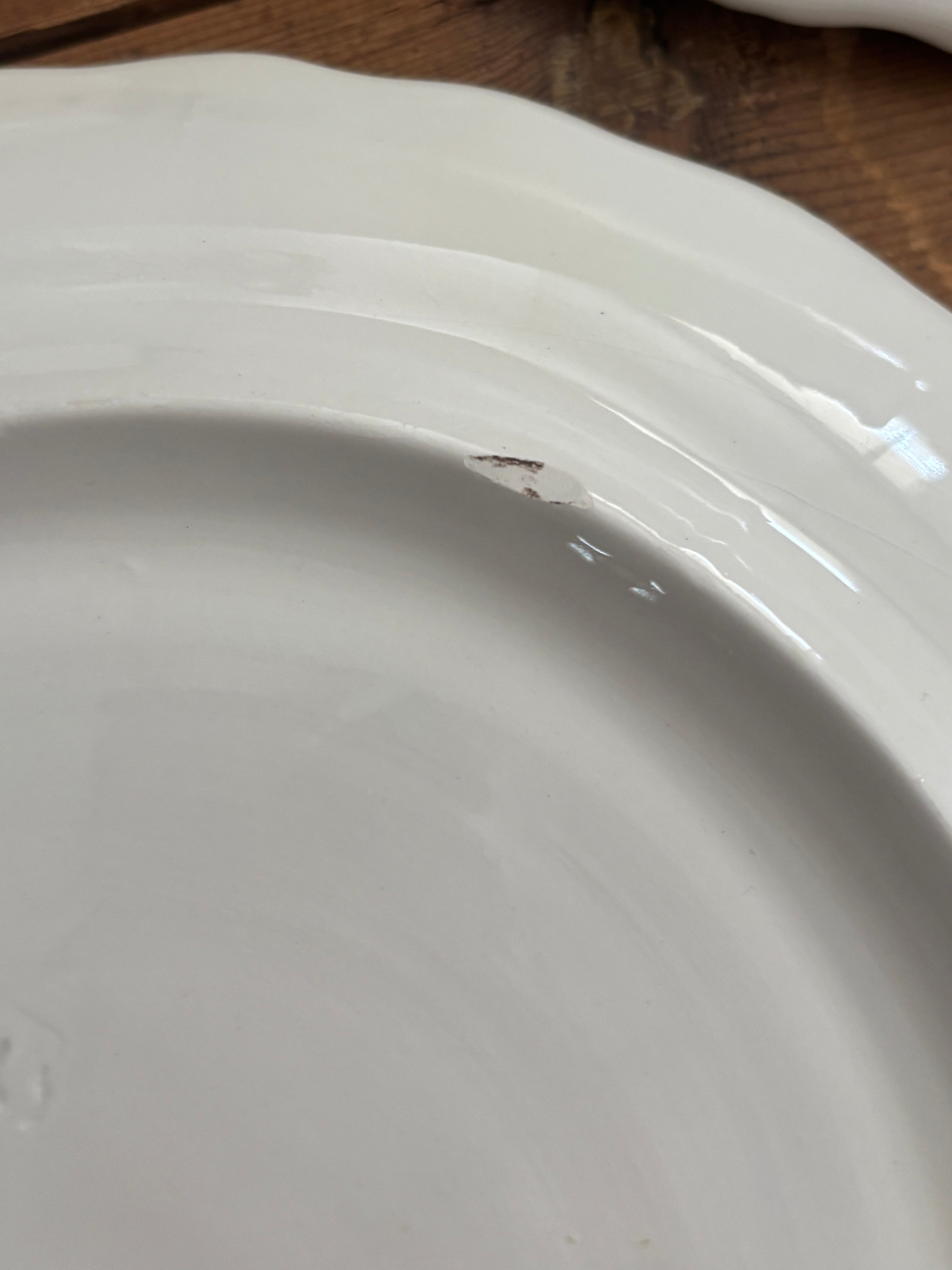 Vintage Italian Majolica Cabbage Plates