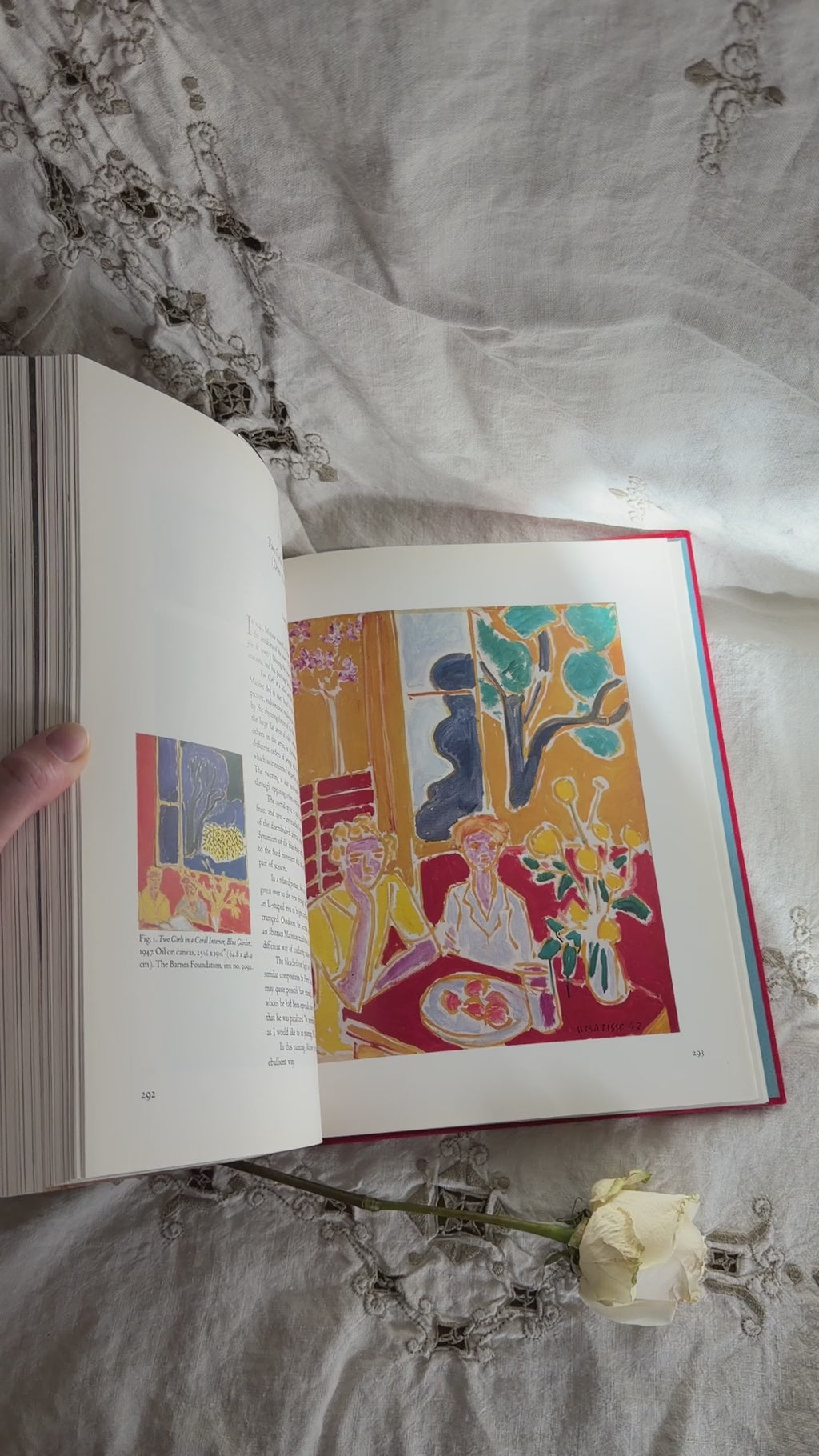 Colorful Vintage Art Book Bundle